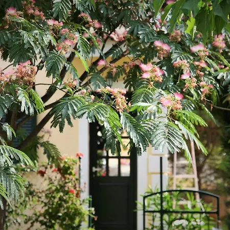 Liza's Villas Ferienhaus